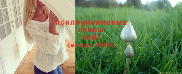 apvp Арсеньев