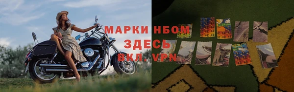 ешки Аркадак