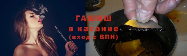ешки Аркадак