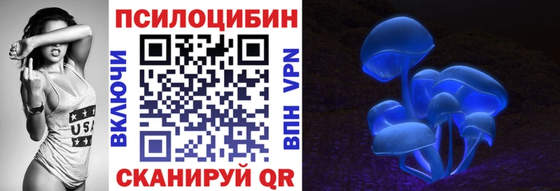 Псилоцибиновые грибы Cubensis  hydra рабочий сайт  Чудово 